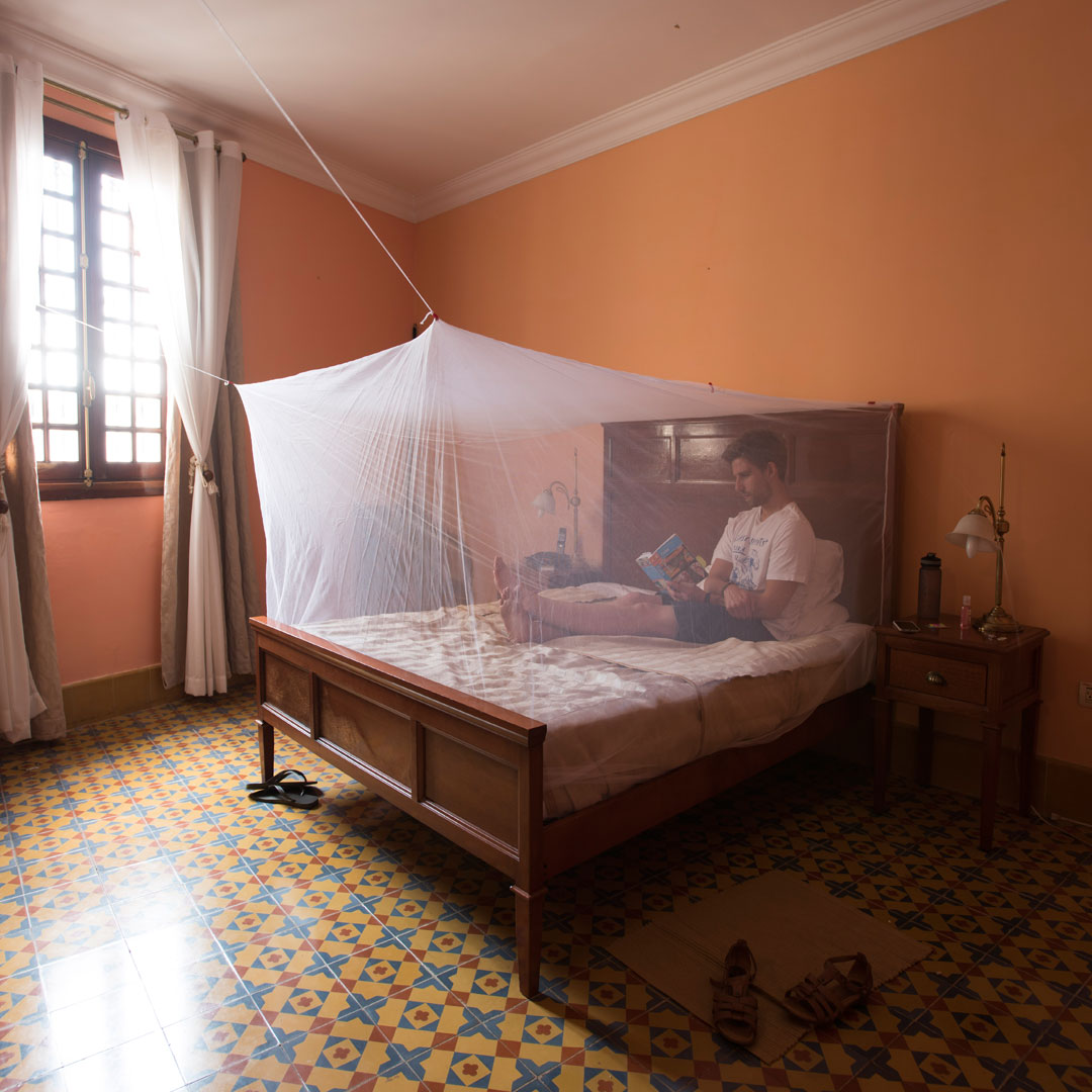 Lifesystems Double Mosquito Net - Portable & Lightweight for Camping, Travel, and Outdoor Adventures