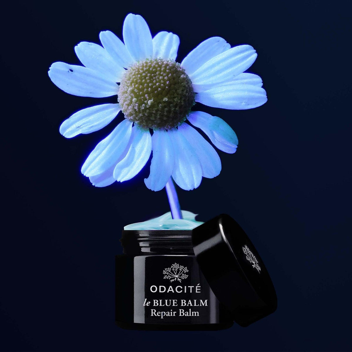 Le Blue Balm - Soothing Skin Relief Balm for Dry & Irritated Skin | Perfect for Eczema, Psoriasis & Minor Cuts | All-Natural Moisturizing Solution for Face, Hands & Body