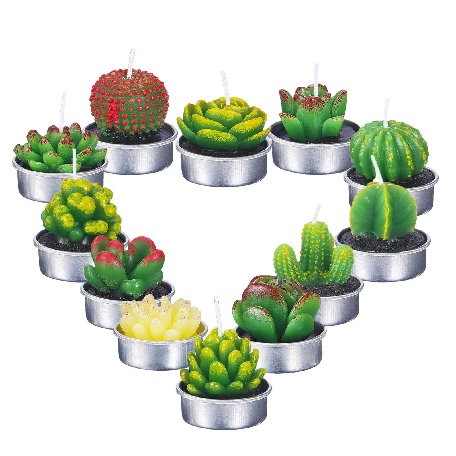 12PCS Long-Lasting Succulent Cactus Tealight Candles - Valentine's Day, Birthday Party, Wedding, Spa Decor - Rose Flower Scented DIY Gift for Home & Special Occasions