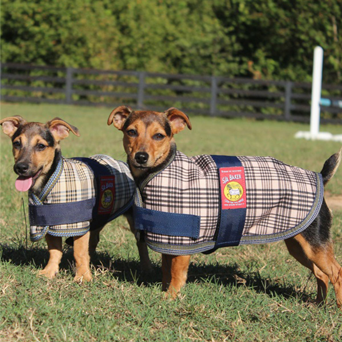 5-Pack Cozy Dog Blankets for Bakers - Soft & Warm Pet Blankets for Small, Medium & Large Dogs - Perfect for Beds, Couches & Travel Use