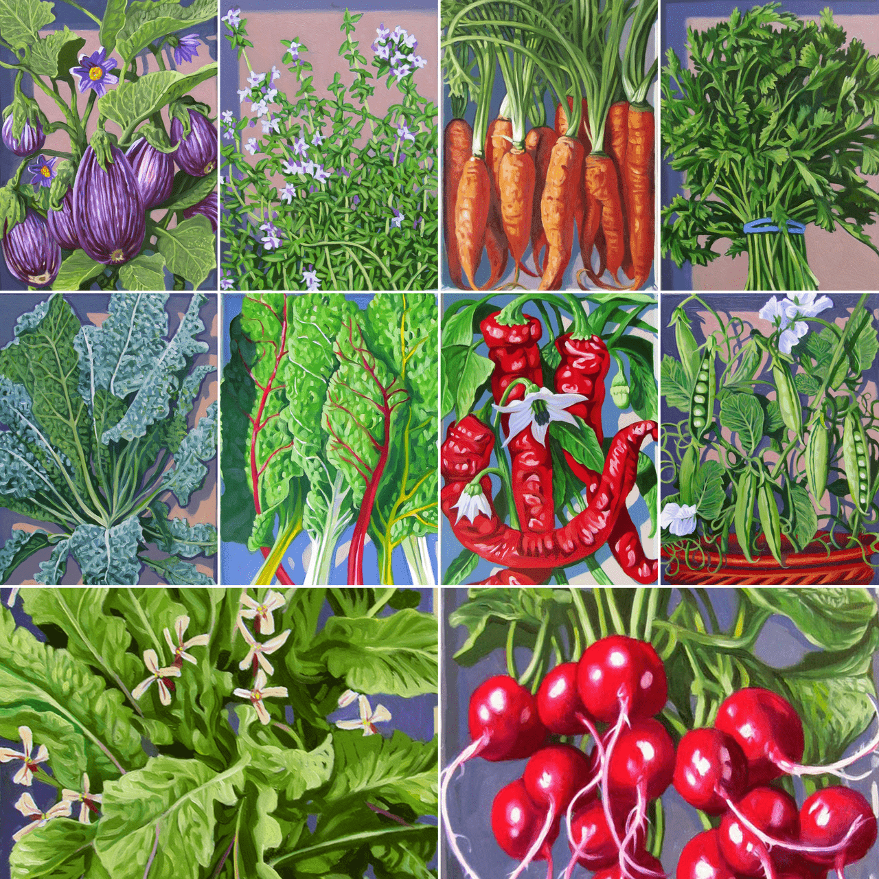 Organic Small Space Vegetable Garden Seed Collection - Non-GMO Heirloom Seeds for Indoor & Outdoor Planting - Perfect for Urban Balcony, Patio, and Container Gardening