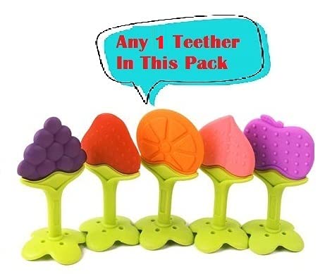 BPA-Free Baby Fruit Nibbler & Teether for Infants 3-12 Months | Safe Silicone Feeder for Toddlers | Multicolor | Perfect for Soothing Teething Pain & Introducing Solid Foods