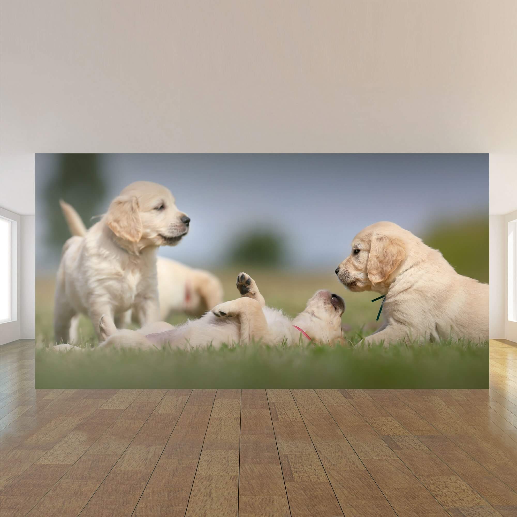 Green and Tan Dog Peel and Stick Removable Wall Mural 5643 - Self-Adhesive Pet Theme Wallpaper for Home Decor, Nursery, Bedroom & Office - Easy to Install & Remove Without Damage