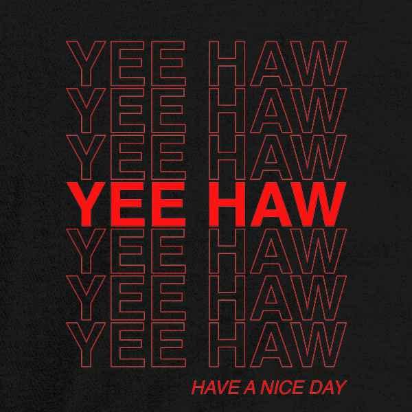 Funny Yee Haw Have A Nice Day Cowboy Graphic T-Shirt for Baby Toddler Kids - Boys & Girls Western Style Tee - Perfect for Rodeo, Cowboy Parties & Western Theme Outfits