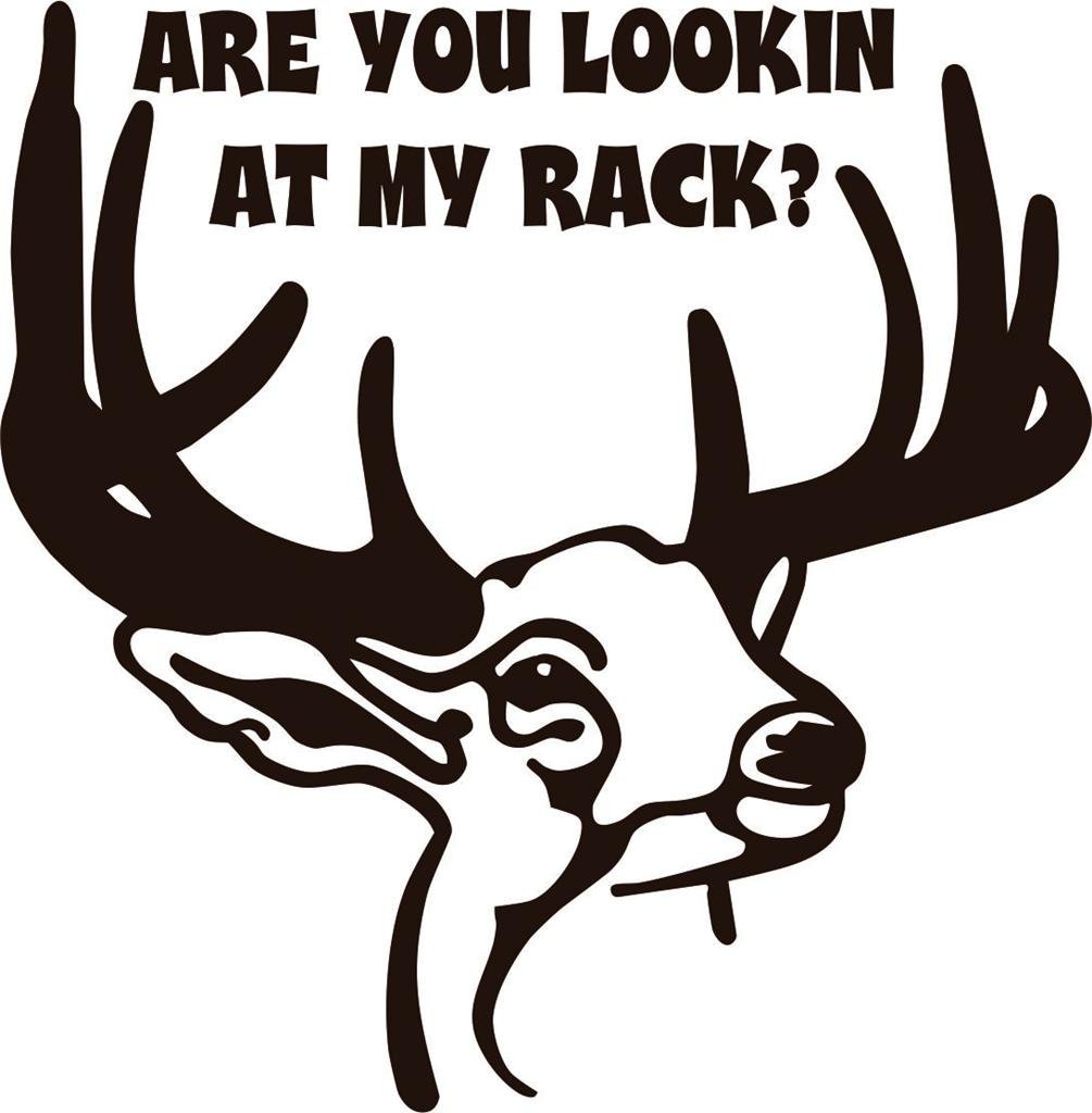 Funny Deer Hunting Wall Decal - 'Are You Looking at My Rack?' Removable DIY Sticker for Bedroom Decor (20x20 Inches) - Perfect for Man Cave, Hunting Lodge & Outdoor Enthusiast Gifts