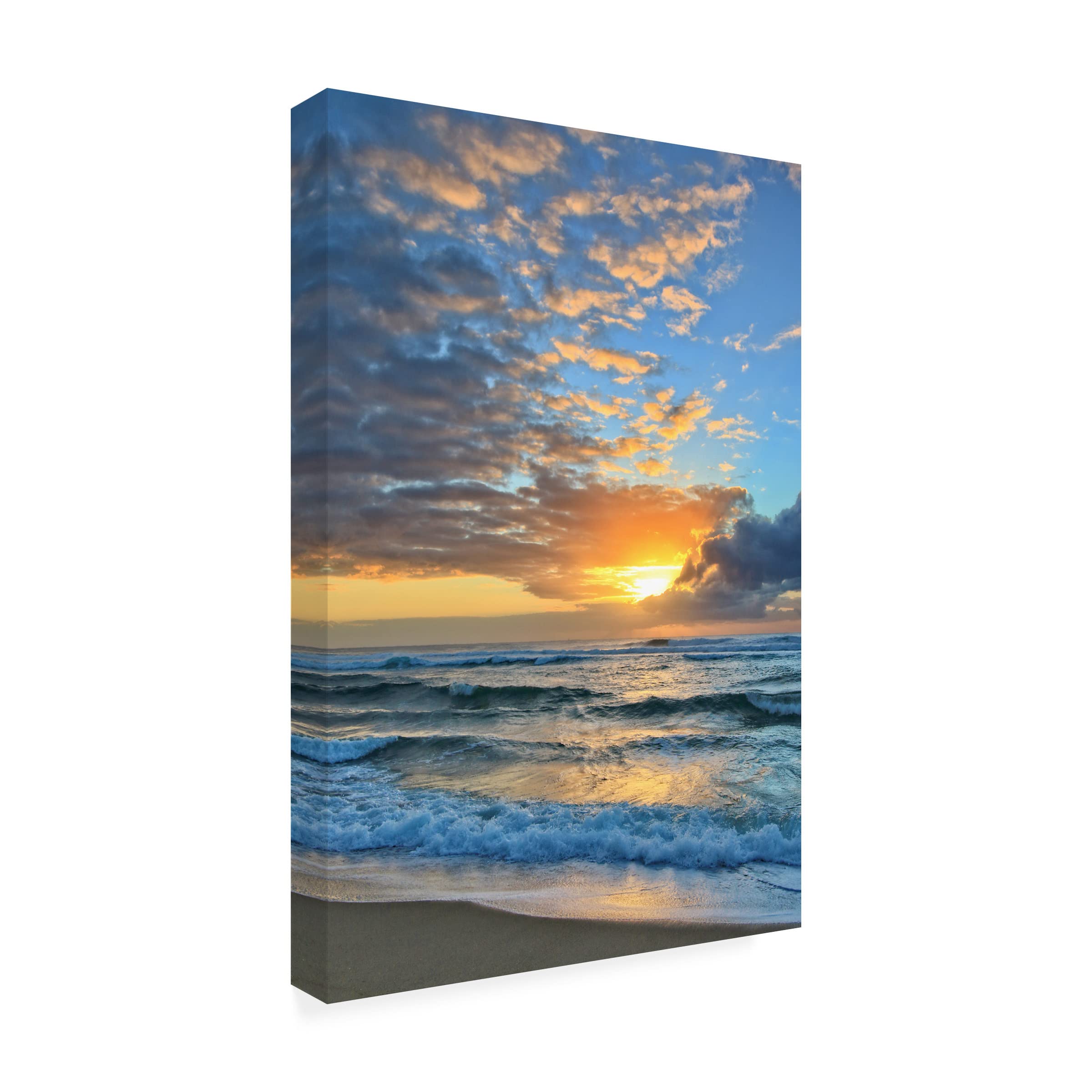 Trademark Fine Art 'Rise and Shine 3' Canvas Wall Art by Beata Czyzowska Young - Modern Abstract Painting for Living Room, Bedroom & Office Decor