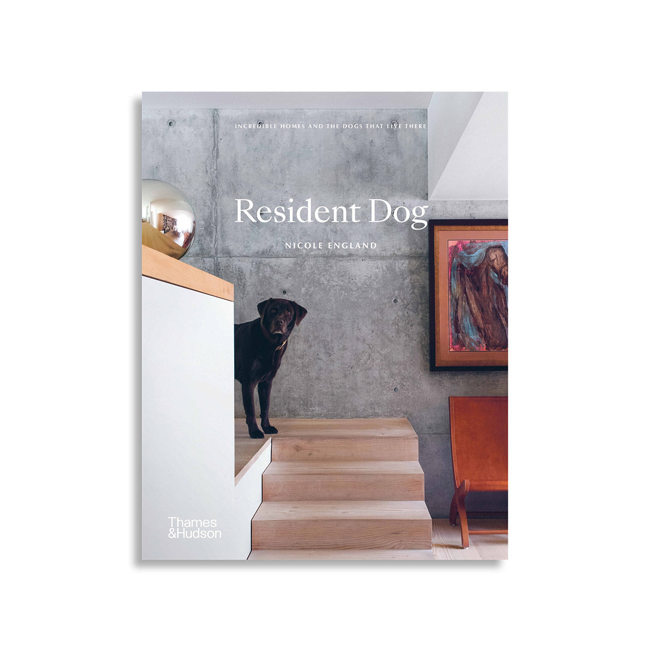 Resident Dog - Premium Pet Supplies for Your Beloved Canine Companion | Perfect for Home, Travel & Outdoor Adventures