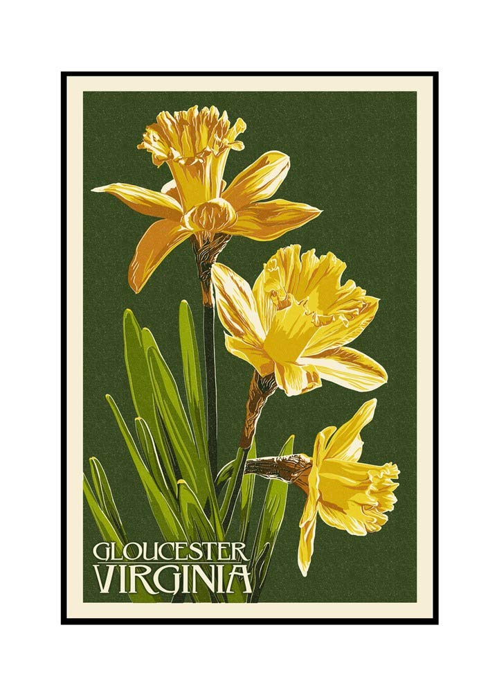 Gloucester Virginia Daffodil Letterpress Art - 16x24 Stretched Canvas Wall Art in Wooden Frame - Perfect for Living Room, Bedroom & Office Decor
