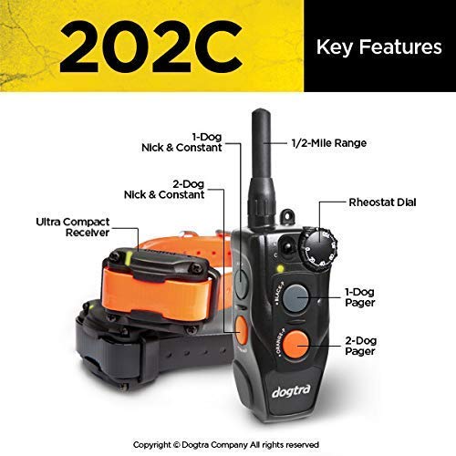 Waterproof Dogtra 202C Remote Training E-Collar - 1/2 Mile Range, One-Handed Operation for 2 Dogs | Includes Teacher's Pet Complete Kit with Clicker, Stainless Steel Lead & Hunting Dummy | Perfect for Obedience Training, Hunting & Outdoor Adventures