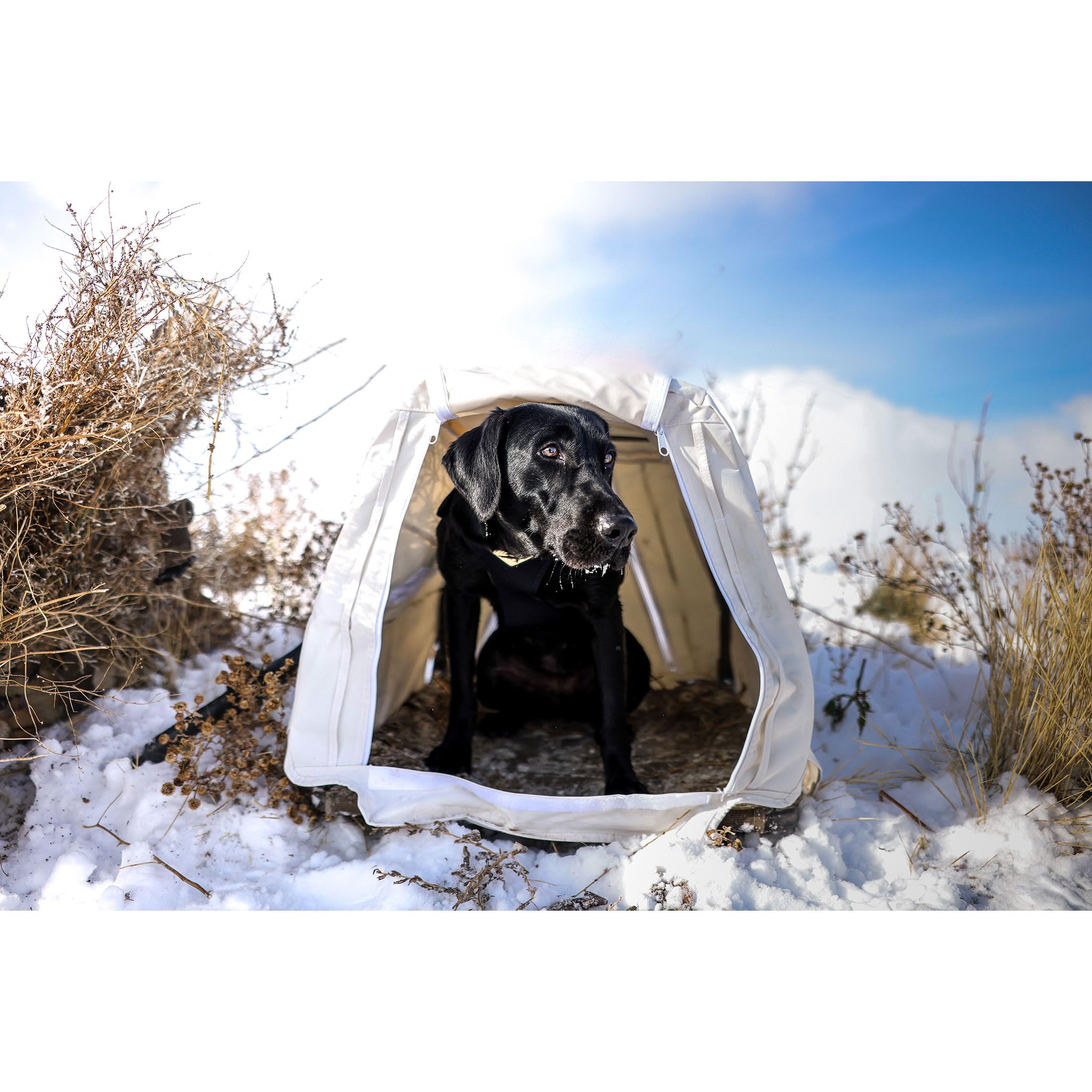 Momarsh Invisi Lab Dog Blind Snow Cover - Camouflage Hunting Blind for Waterfowl & Upland Game - Perfect for Winter Hunting & Field Training