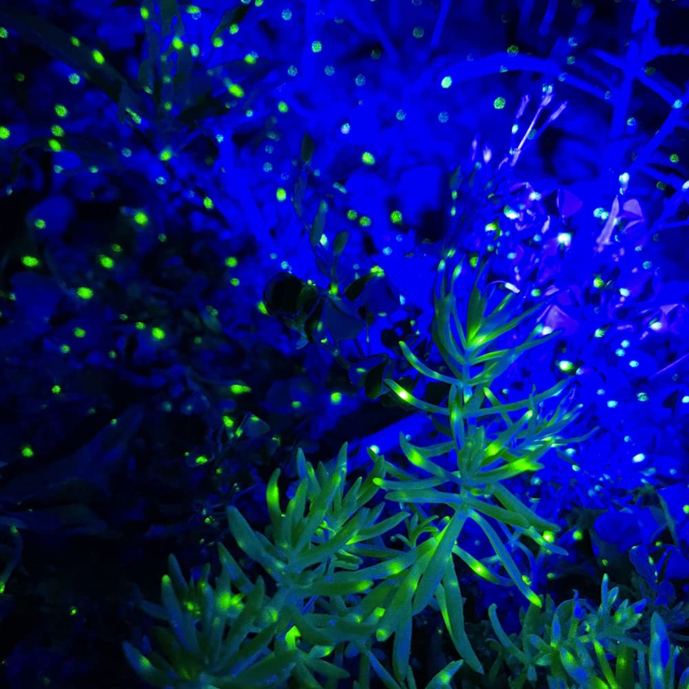 Firefly Garden Lights - Star Projector Laser Christmas Lights for Outdoor Lawns, Courtyards & Backyards | Perfect for Holiday Decorations, Parties & Romantic Ambiance