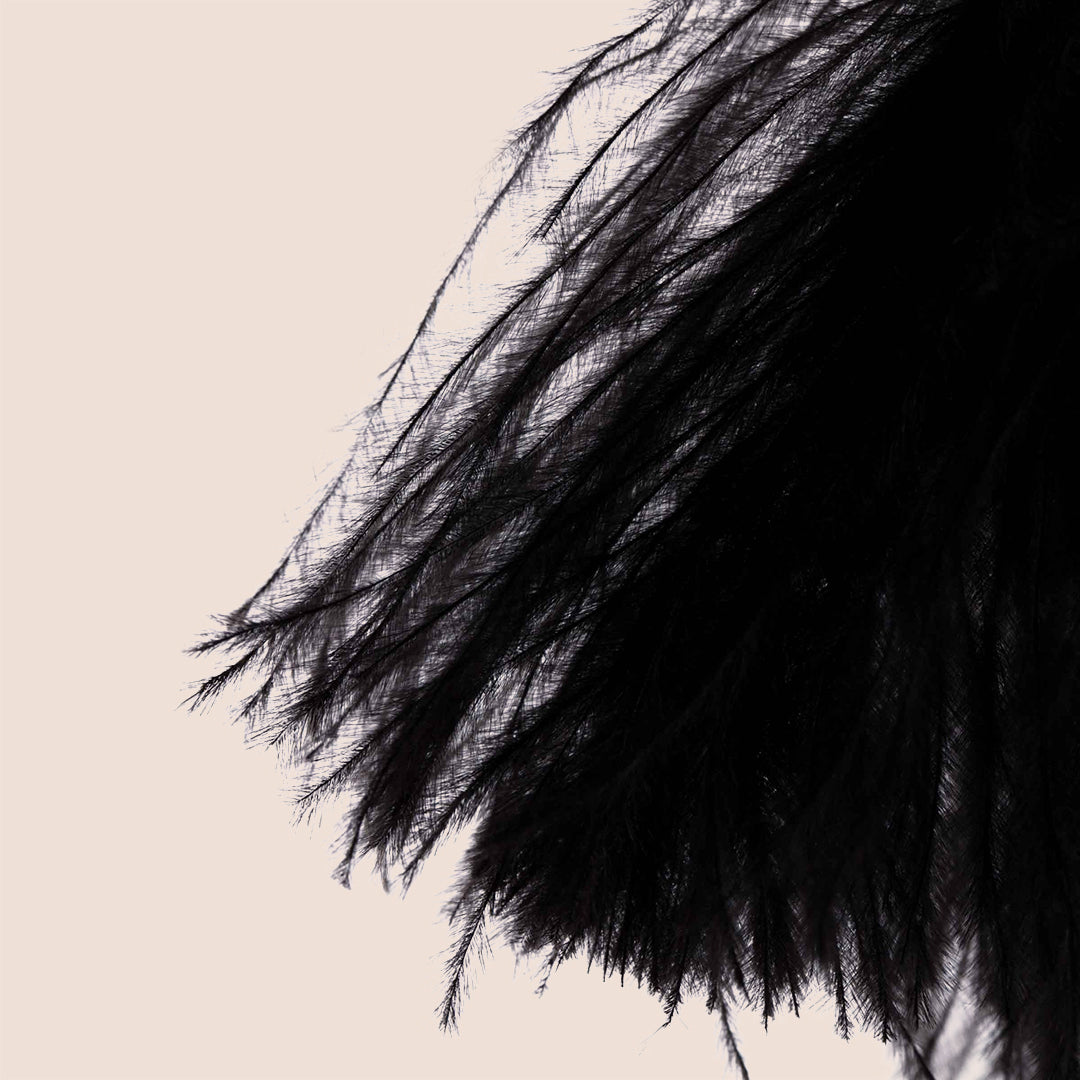 Ostrich Tickler Adult Toy - Fun & Playful Feather Tickler with Sexy Game Guide for Couples & Parties | Enhance Intimacy & Spice Up Your Love Life