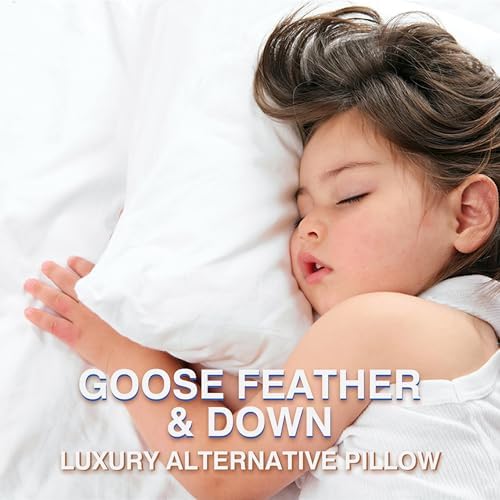 Premium Goose Feather Pillows Queen Size (Pack of 2) - Luxury Down Hotel Bed Pillows for Sleeping with 600 Thread Count Cotton Cover - Fluffy Support for Back, Stomach & Side Sleepers - Perfect for Home, Guest Room & Airbnb