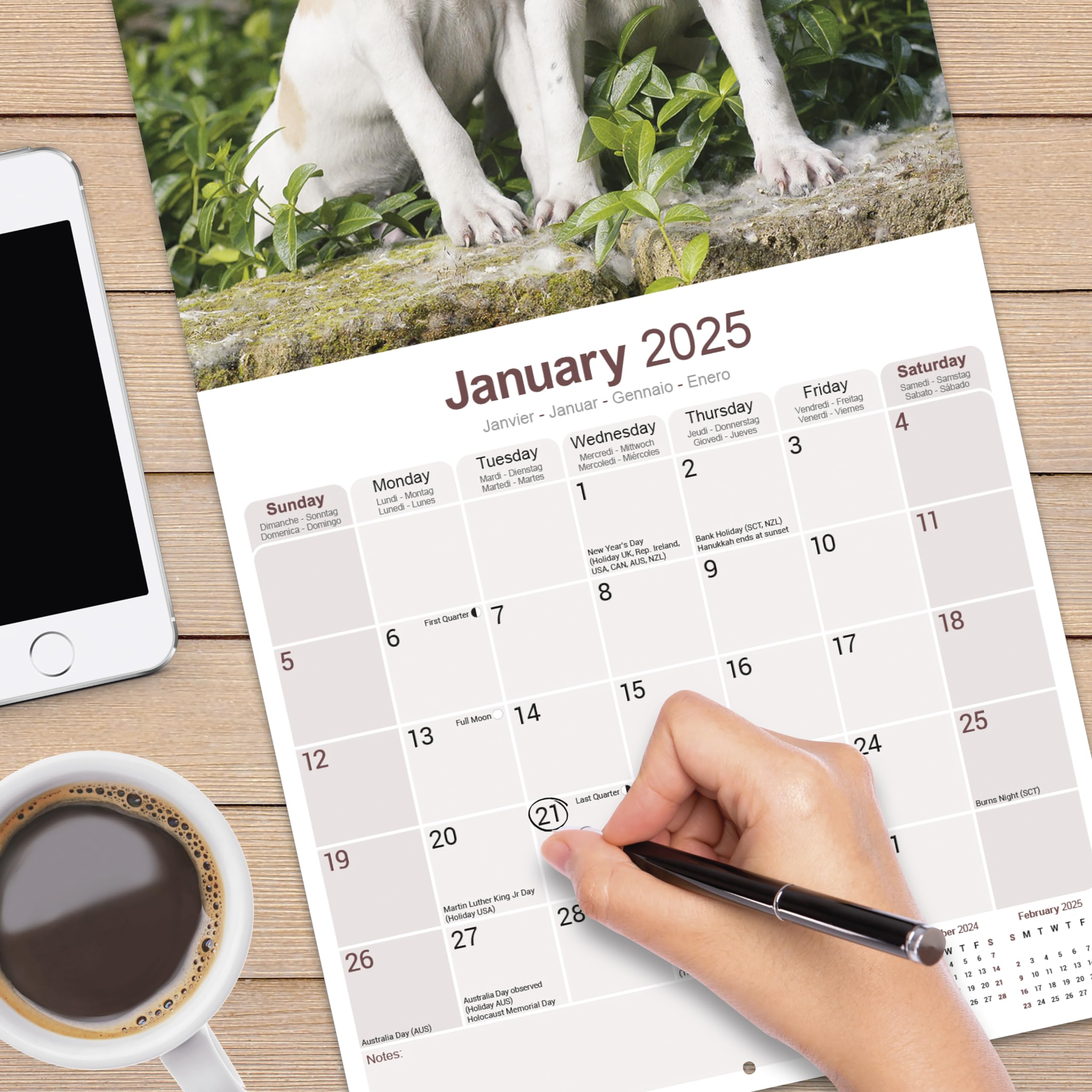 Pointer Dog Breed 2025-2026 Wall Calendar | 16-Month Square Planner for Dog Lovers - Perfect for Home, Office & Gifts