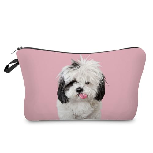 Shih Tzu 03