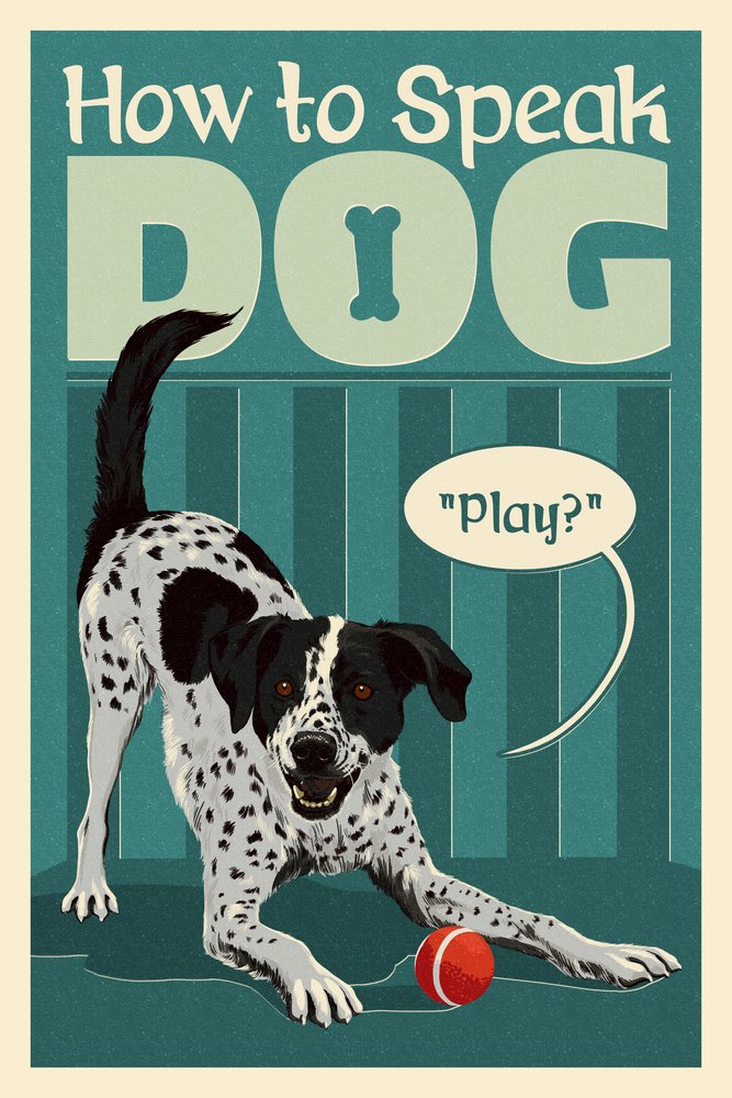 How to Speak Dog Play? - 16x24 Wrapped Canvas Wall Art Decor for Living Room, Bedroom & Office - Funny Pet Lover Gift Idea