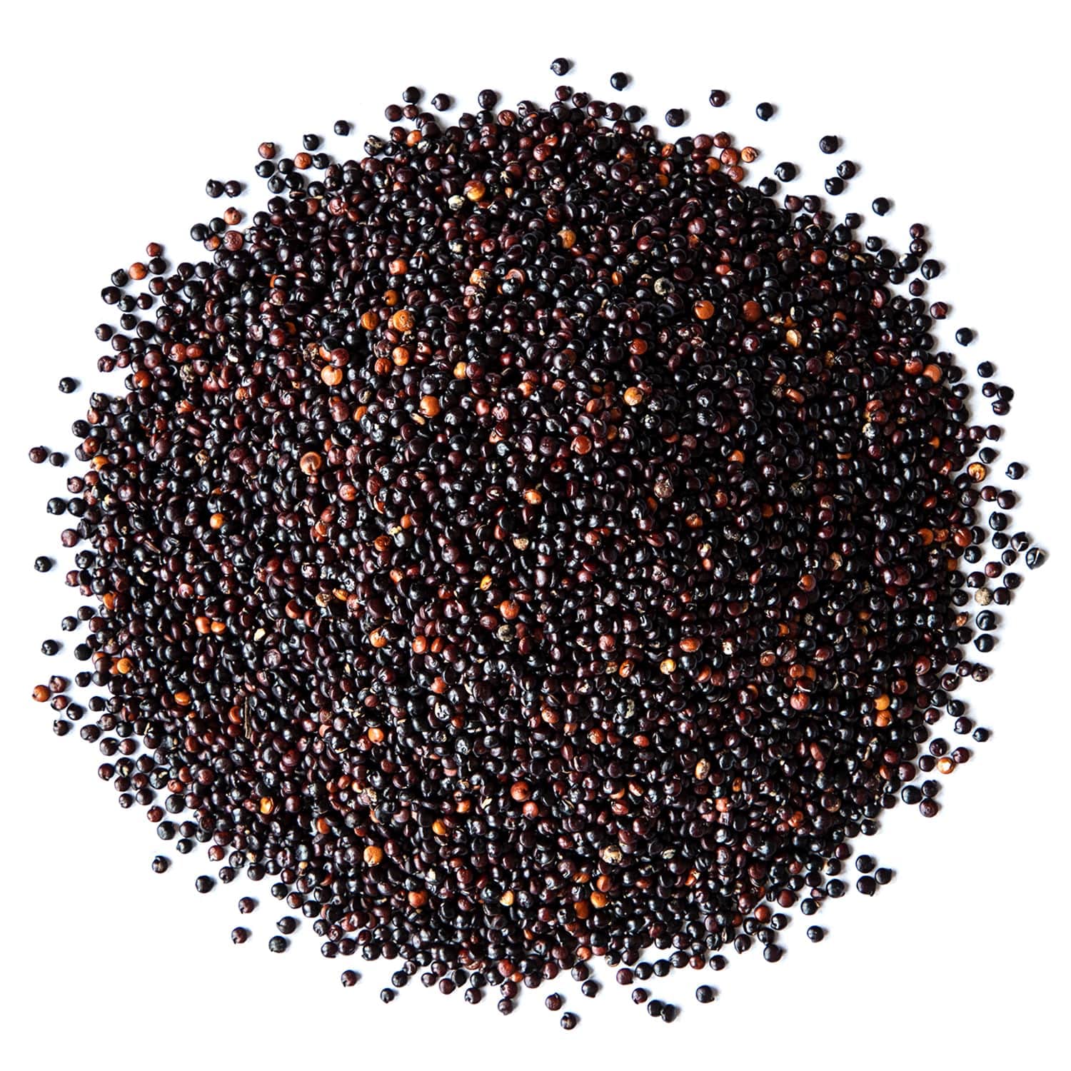 Organic Black Quinoa 20 lbs - Non-GMO Whole Grain, Sproutable, Kosher, Vegan, Sirtfood - High in Protein, Fiber & Healthy Fats - Easy to Cook for Salads, Soups, Stews & Meal Prep - Perfect for Healthy Eating & Weight Loss Diets