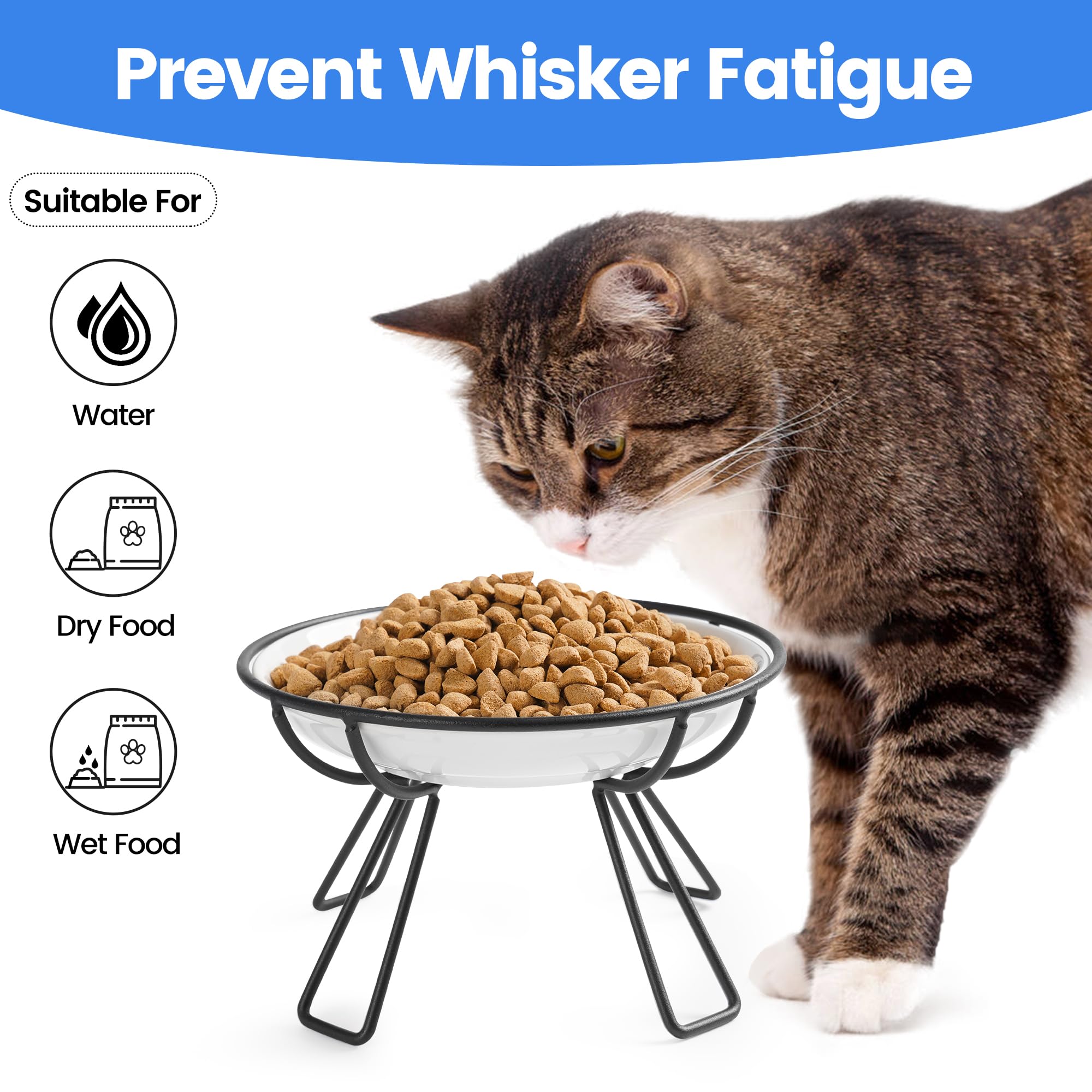 Elevated Ceramic Cat Bowls - Whisker Friendly & Anti-Vomit for Indoor Cats - Dining Set (2-Pack)
