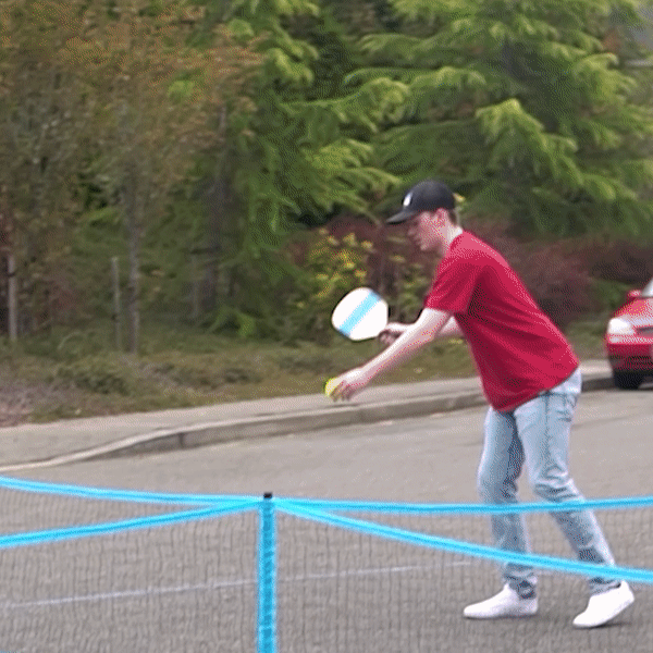 Premium 4 Square Pickleball Set with Paddles & Balls - Outdoor & Indoor Sports Game for Kids & Adults - Perfect for Backyard, Park, Gym & Family Fun Activities