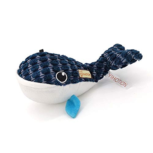 Whale