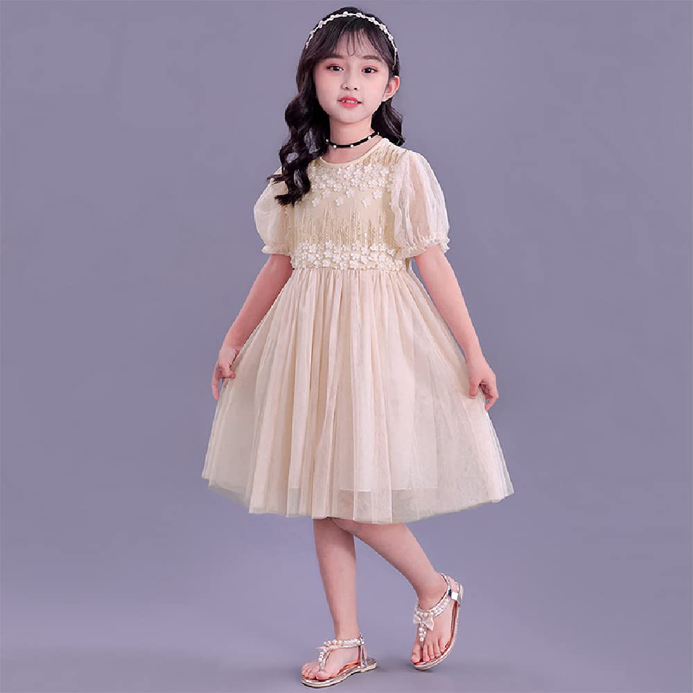 Quenny Korean Style Girls' Mesh Princess Summer Dresses - Floral Flower Party Dresses for Toddler & Kids - Perfect for Birthday, Photo Shoots & Outdoor Play