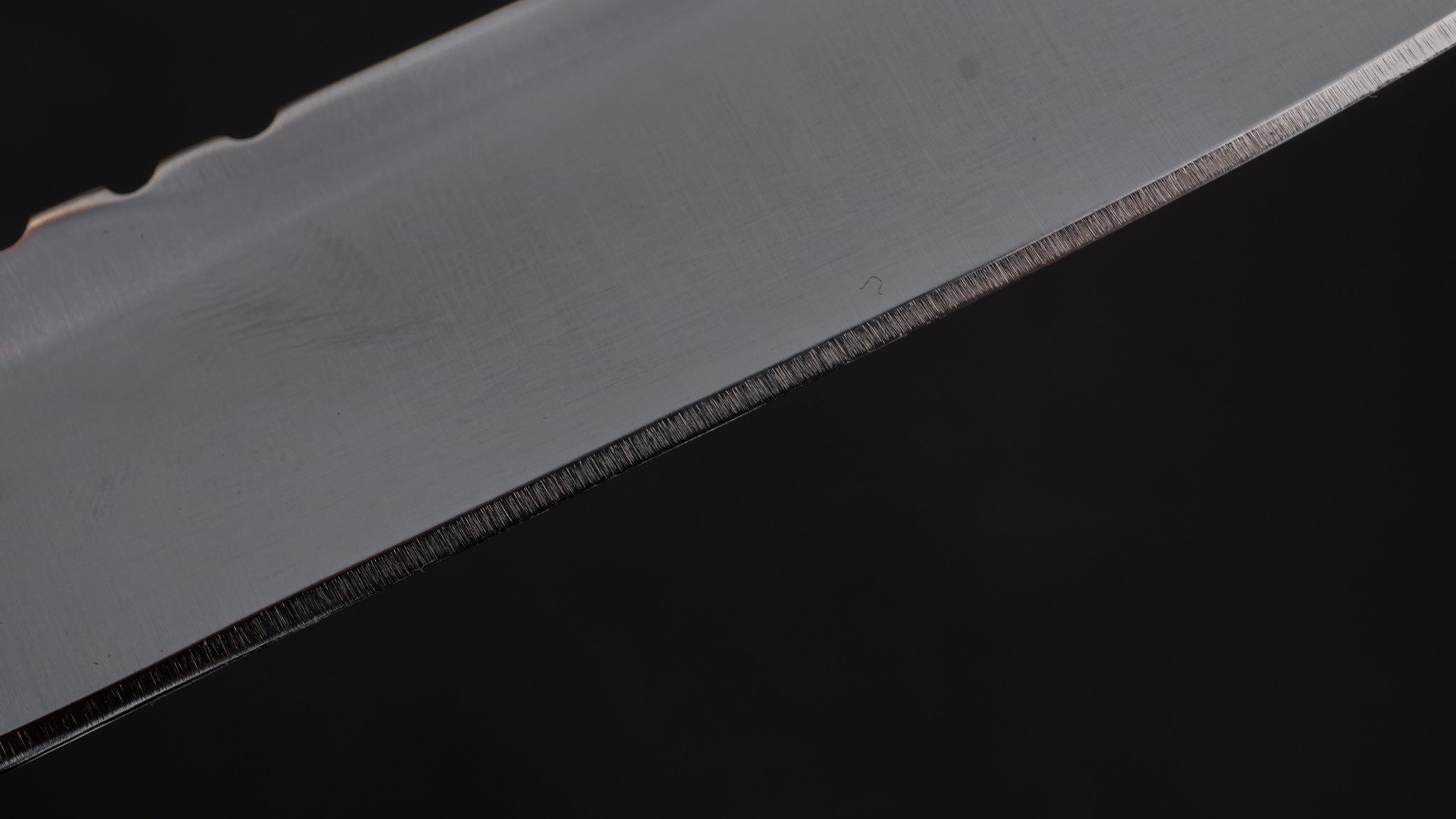 Fukuta ATS Hunting Knife - 150mm Fixed Blade with Stag Handle for Outdoor, Camping, and Survival Adventures
