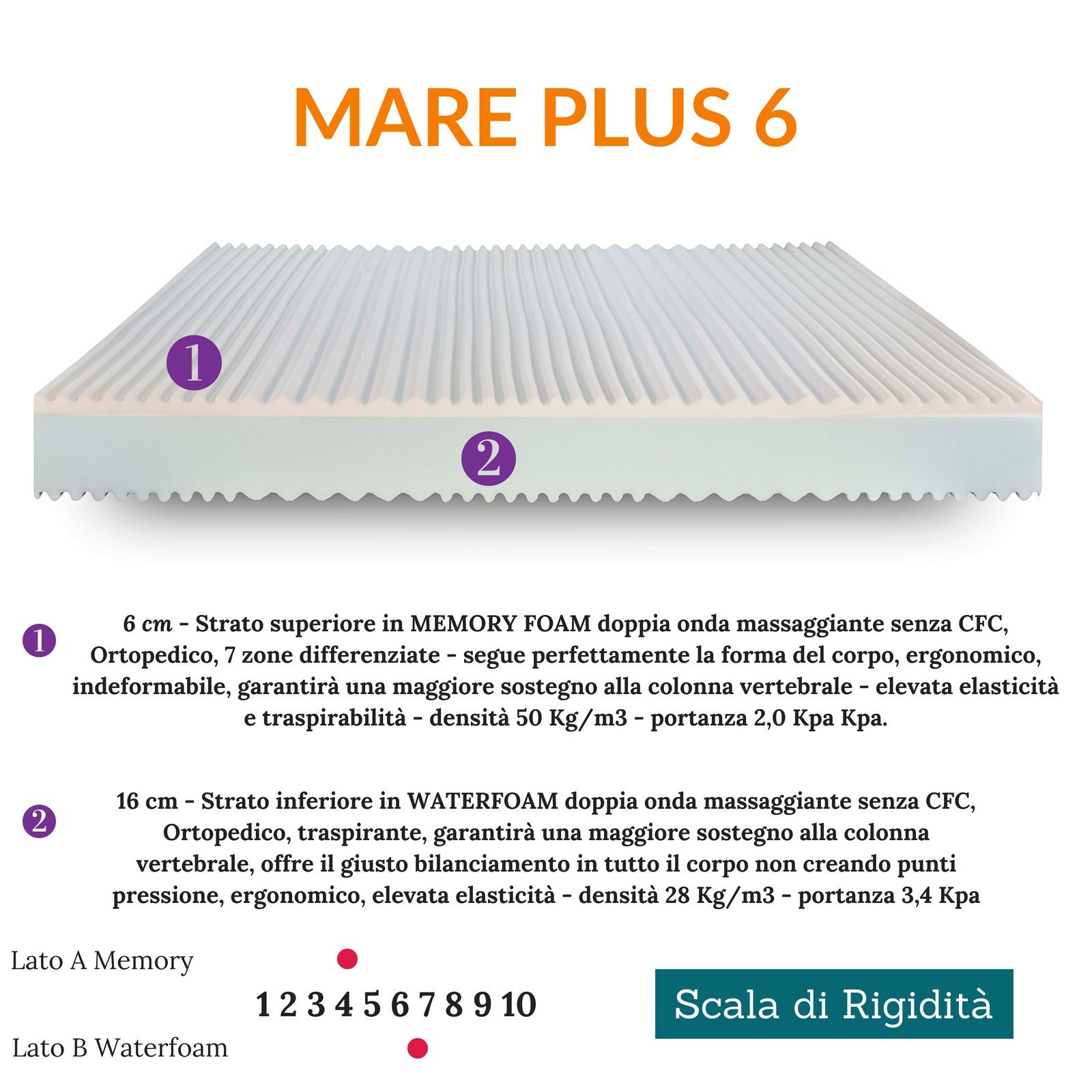 EvergreenWeb Orthopedic Memory Foam Mattress - 24cm Height, Ergonomic Support for Back Pain Relief | Perfect for Bedroom, Guest Room & Dorm Use