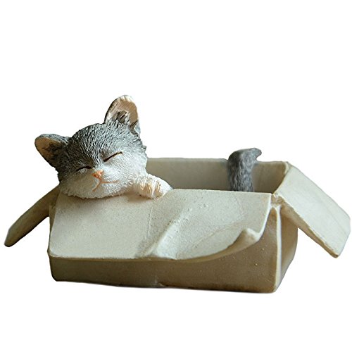 Gemmia Cat Fairy Figurine - Handcrafted Box Stray Cat Statue for Home Decor, Gift & Collectible | Perfect for Bookshelf, Office Desk & Garden Display