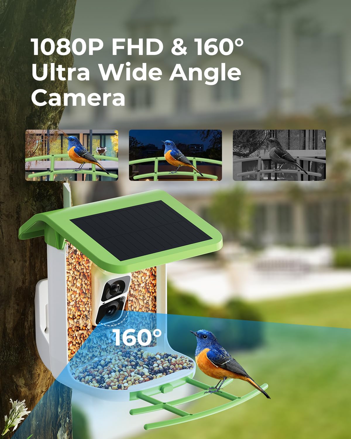 Smart Bird Feeder with Camera - 1080P HD AI Hummingbird Identification & Auto Video Capture, 2-in-1 Feeder Perch | Perfect for Backyard Bird Watching & Nature Photography