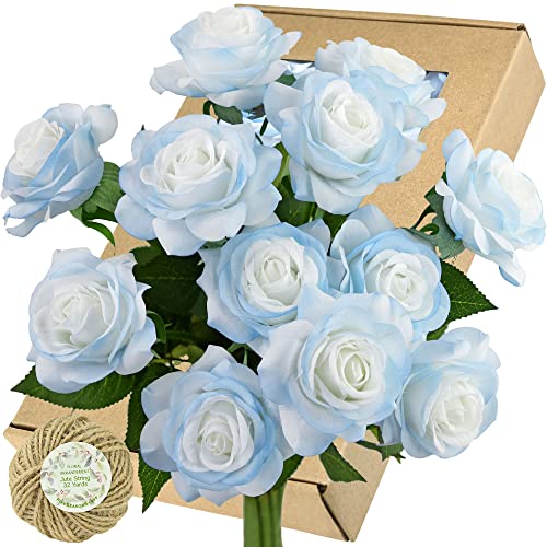 Artic Icy Blue