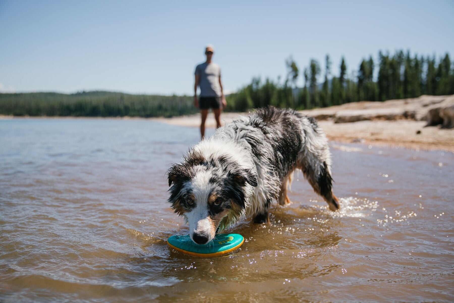 Ruffwear Hydro Plane™ Floating Dog Disc Toy - Tangelo Orange, Waterproof & Durable for Pool, Beach & Outdoor Play - Perfect for Fetch Games with Dogs