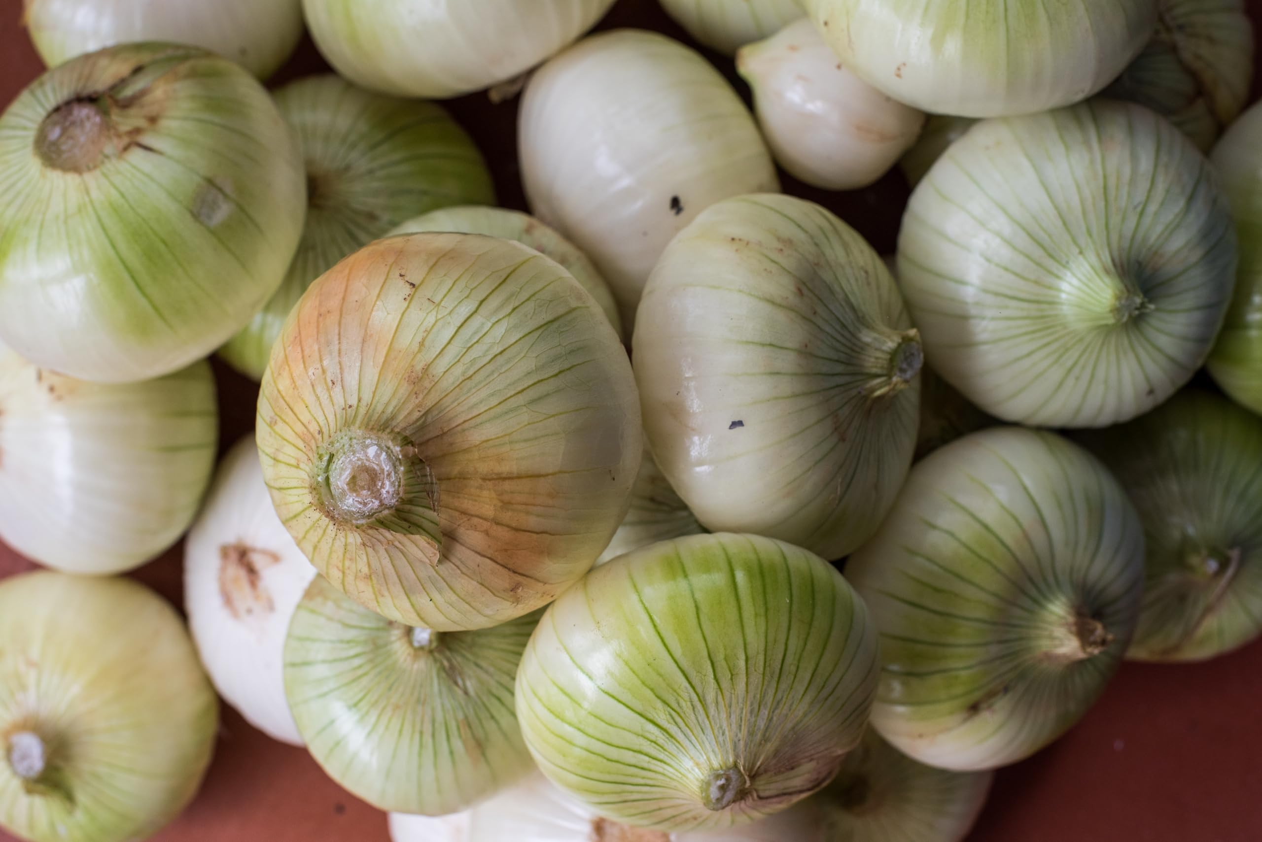 Organic Fresh Sweet Onions by RawJoy Farms - Crisp & Juicy for Salads, Soups, and Healthy Cooking