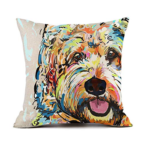 Goldendoodle