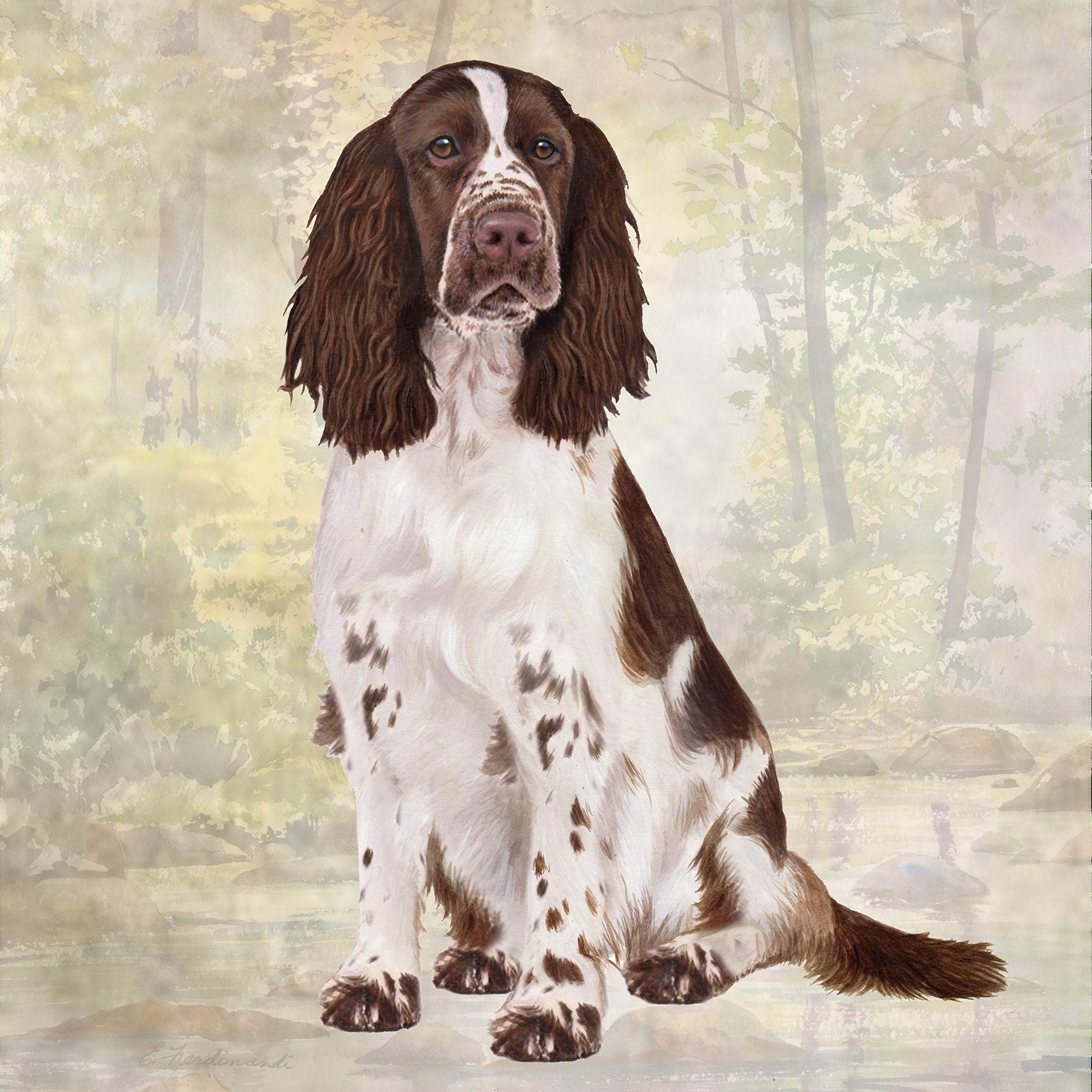 Springer Spaniel Absorbent Stone Coaster Set - Cork Back Protects Furniture from Scratches & Water Rings - Perfect for Coffee Tables, Desks & Home Decor