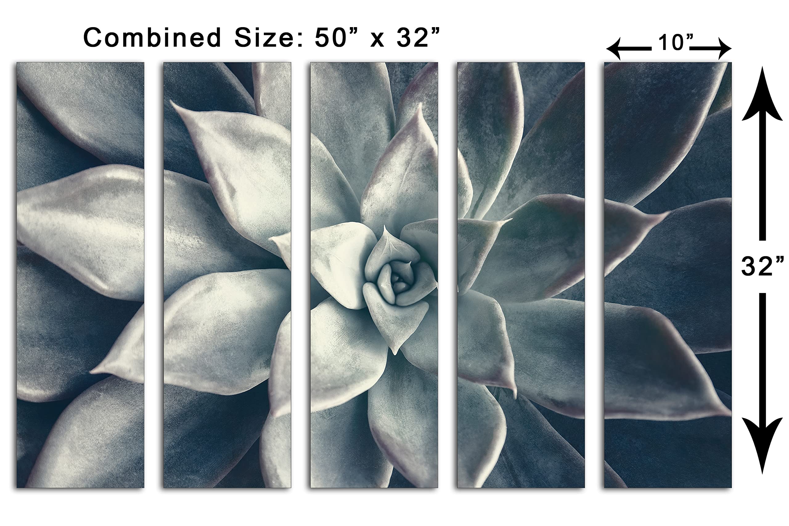 50 x 32 Inch Echeveria Succulent Canvas Wall Art - 5 Panel Split Botanical Plant Painting in Dark Teal for Living Room, Bedroom & Office Decor