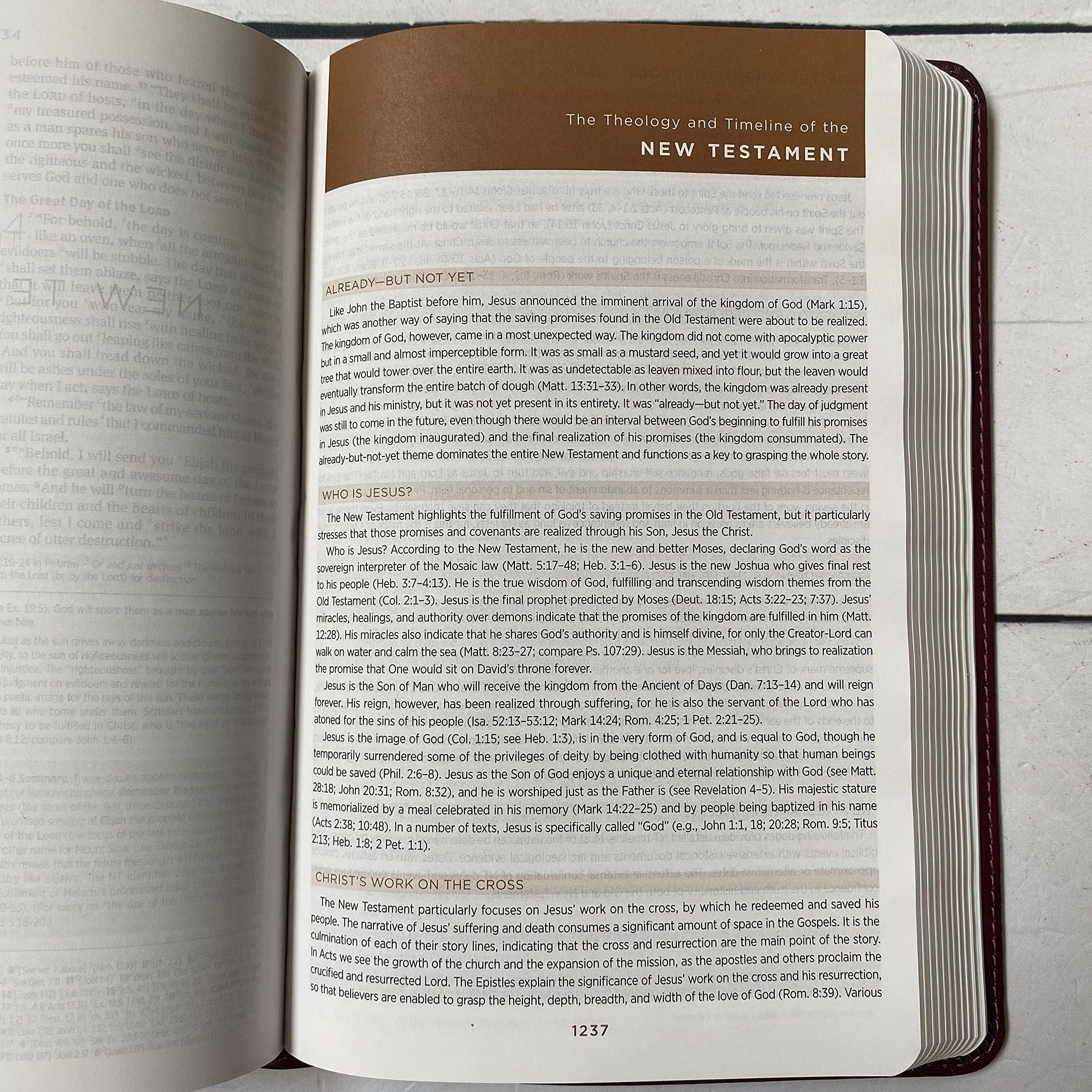 Hand Lettered & Laser Engraved ESV Student Study Bible - Brown Leather Personalized Gift with Custom Name Engraving | Perfect for Graduation, Baptism & Spiritual Growth