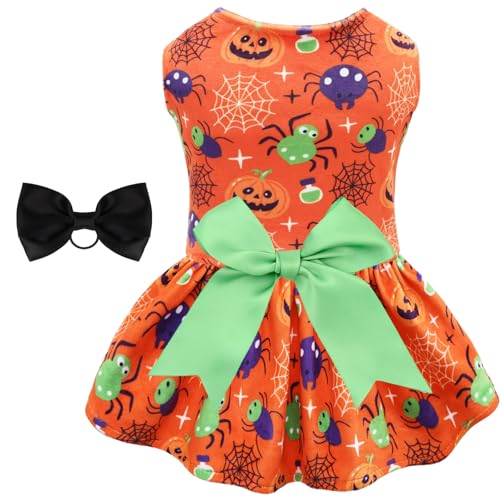 Pumpkin&spider