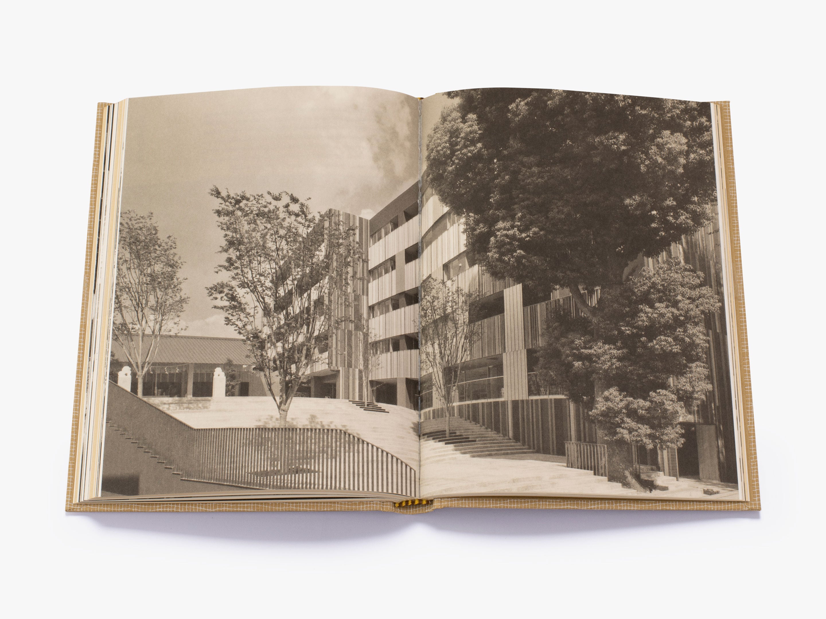Kengo Kuma: My Life as an Architect in Tokyo - Memoir of Japanese Architecture & Urban Design - Perfect for Architecture Students, Tokyo Travelers & Design Enthusiasts