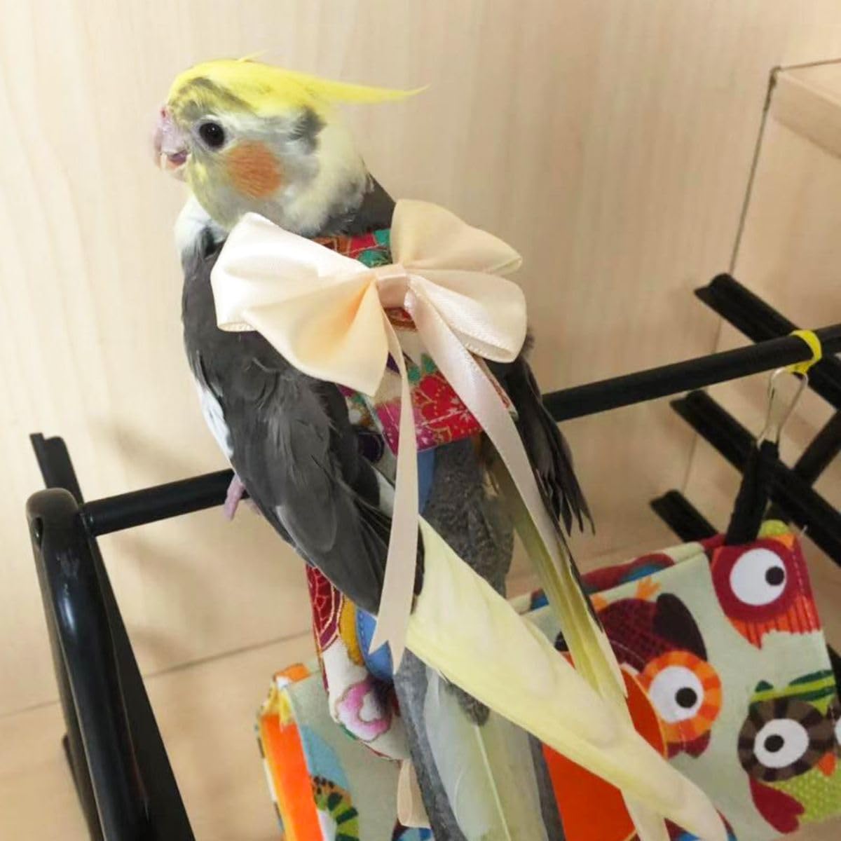 Bird Flight Suits with Diapers for Parrots - Quaker Parakeets & Cockatiels - Parrot Clothes in Almond A & Macaw Sizes | Perfect for Training, Travel & Indoor Play