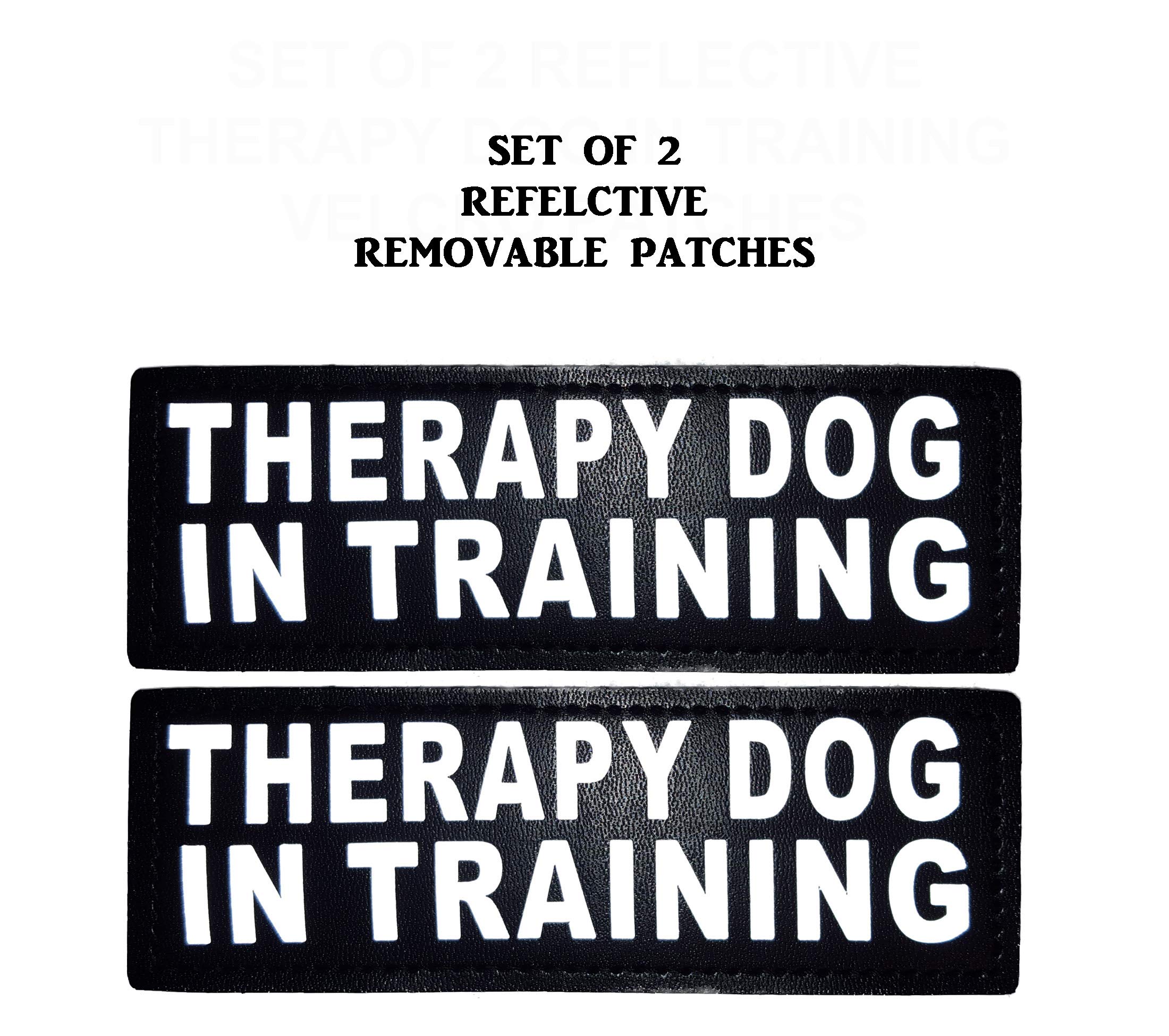 Therapy Dog Mesh Vest Harness - Cool & Comfortable Nylon with 2 Reflective Training Patches - Red XL (21-24 Inch) - Perfect for Service Dog Training, Emotional Support Animals & Outdoor Activities