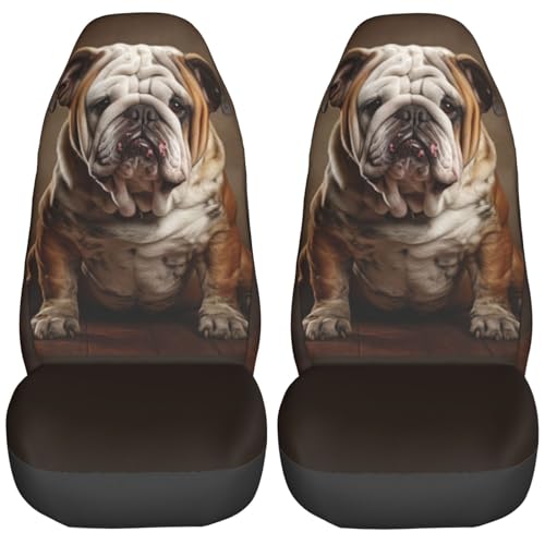 English Bulldog Old Sitting Against