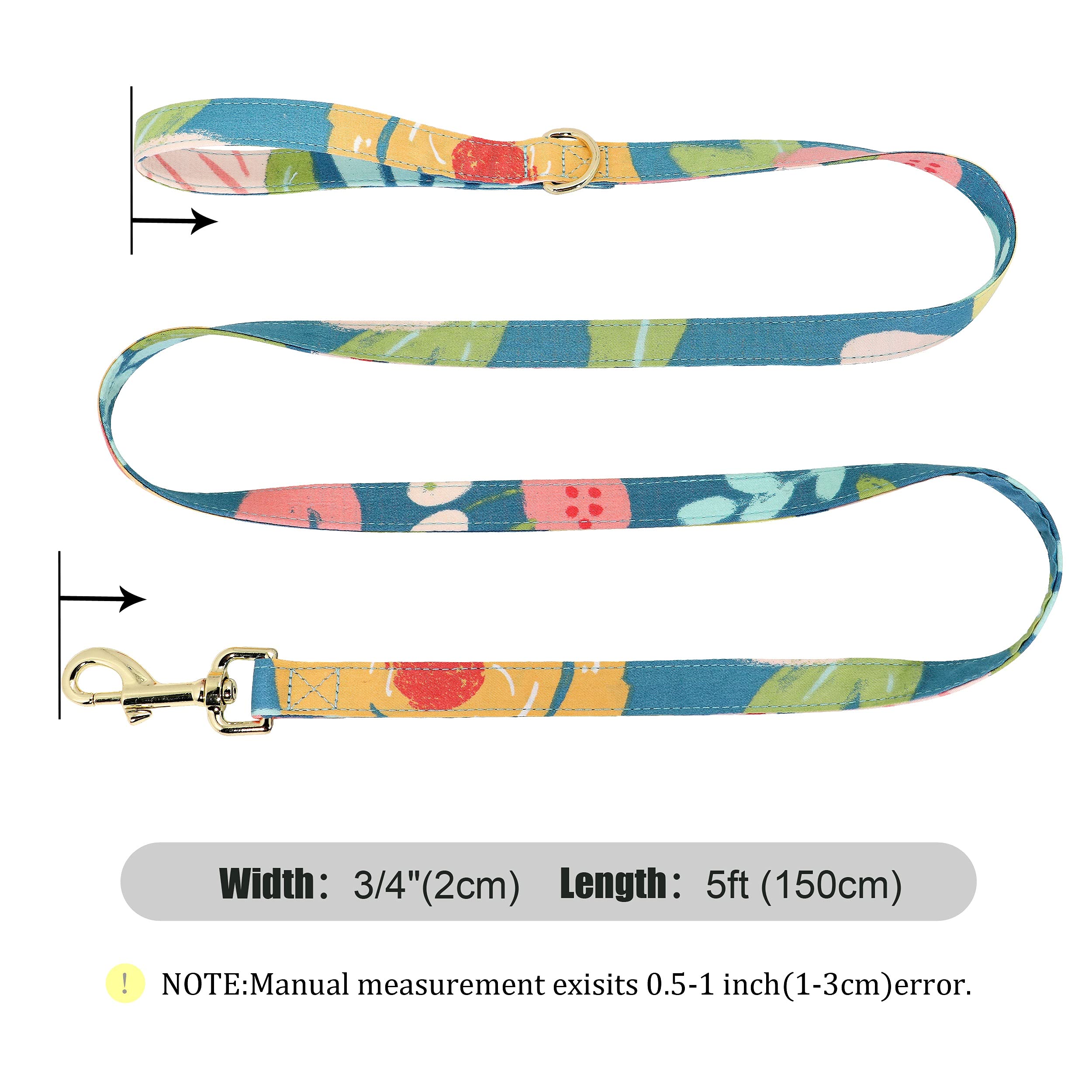 Beirui Personalized Floral Dog Collar and Leash Set for Small to Medium Female Dogs - Engraved Gold Buckle, Adjustable Pet Accessories (Ocean Blue, Size M) - Perfect for Weddings, Photo Shoots & Special Occasions