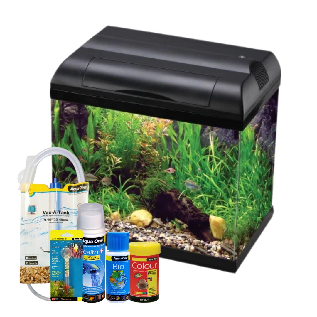 Ecostyle 37 Aquarium Bundle - 21 Litres Fish Tank Kit with LED Light & Filter - Perfect for Home, Office, or Classroom Aquarium Setup