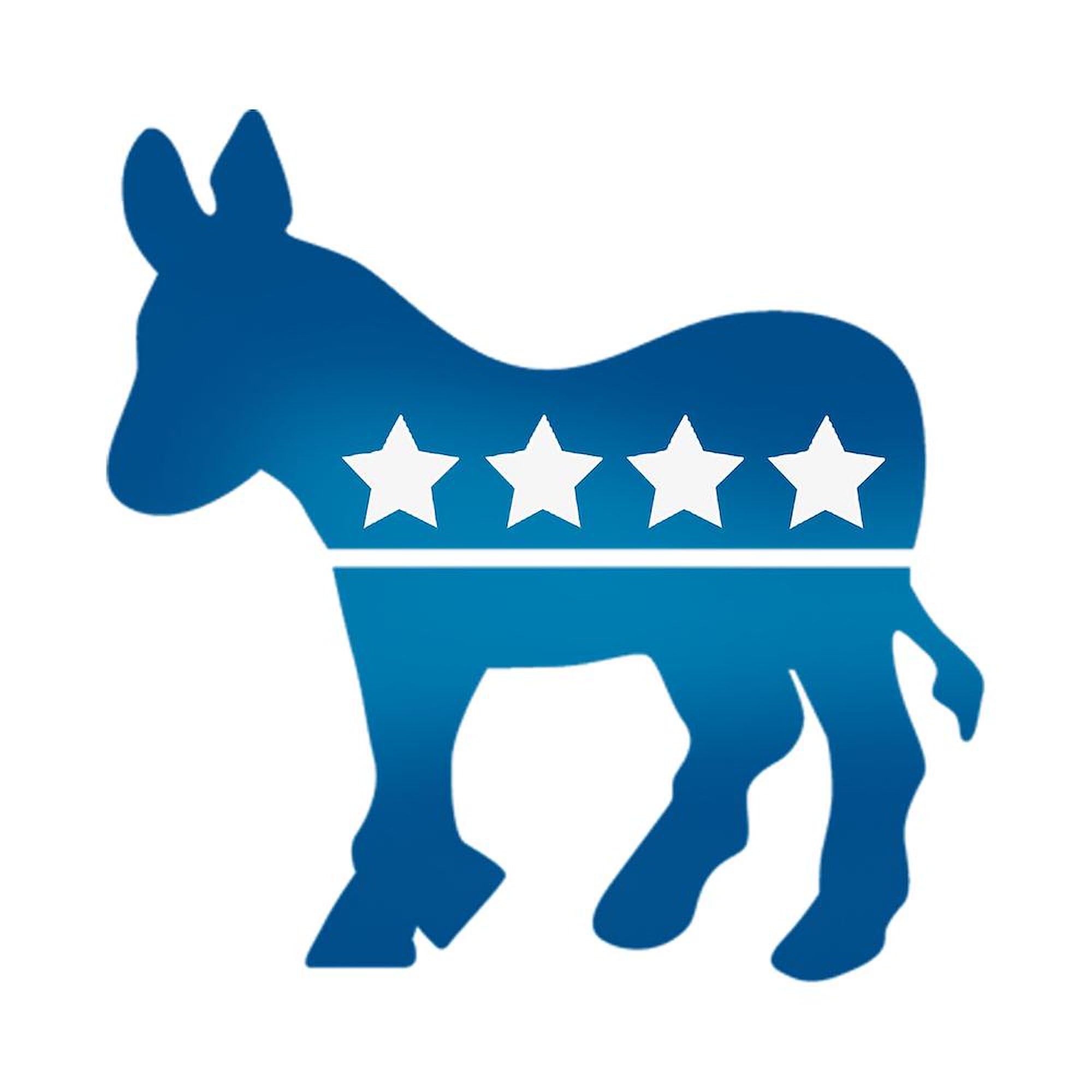 20 oz Democrat Donkey Ceramic Coffee Mug - Large Insulated Tea Cup for Office, Home & Political Events | Funny Liberal Gift for Democrats