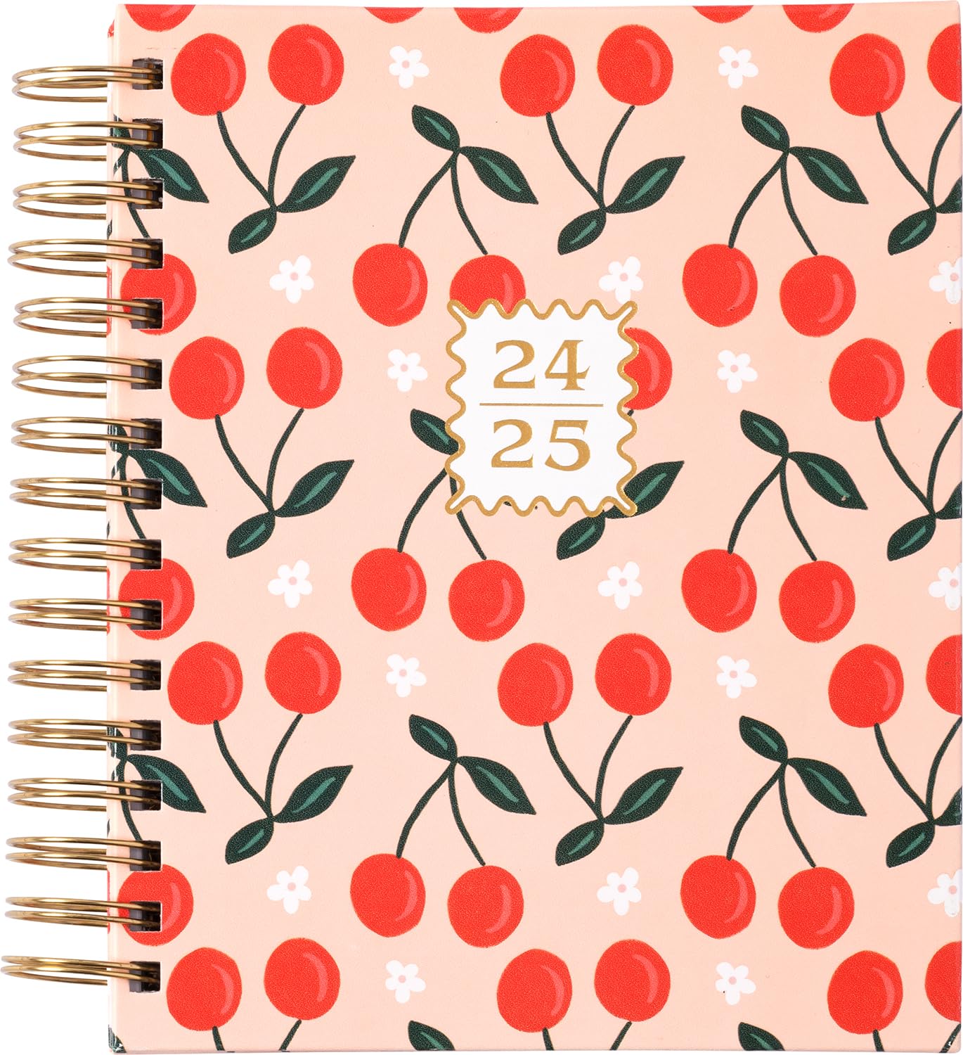 Eccolo 2024-2025 Spiral Planner - 18 Month Weekly & Monthly Agenda with Stickers, Color Graphics & Inspirational Quotes (7.75