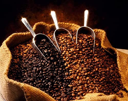Premium AfriKin Ethiopian Harrar Artisan Ground Coffee - 100% Arabica, Organic Certified, Bold Flavor Medium Roast - Fresh Gourmet Coffee Beans (1lb/16oz) for Home Brewing, Office & Gifts