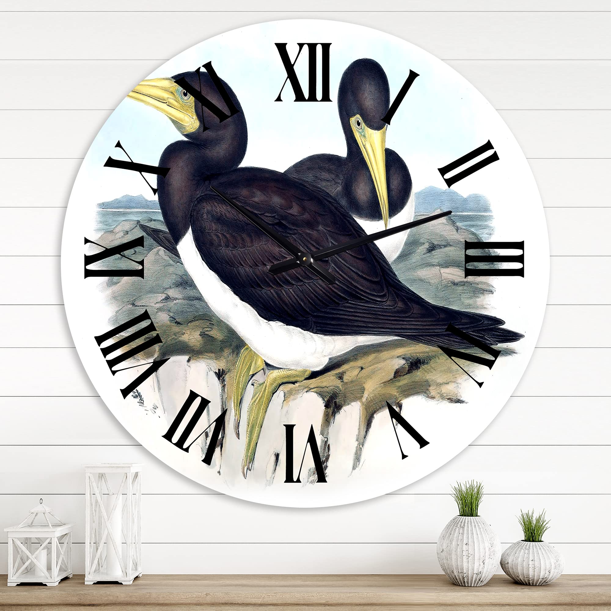 Vintage Australian Birds XII Traditional Wall Clock - Large Landscape & Nature Wall Decor for Living Room, Bedroom & Office | Silent Non-Ticking Mechanism