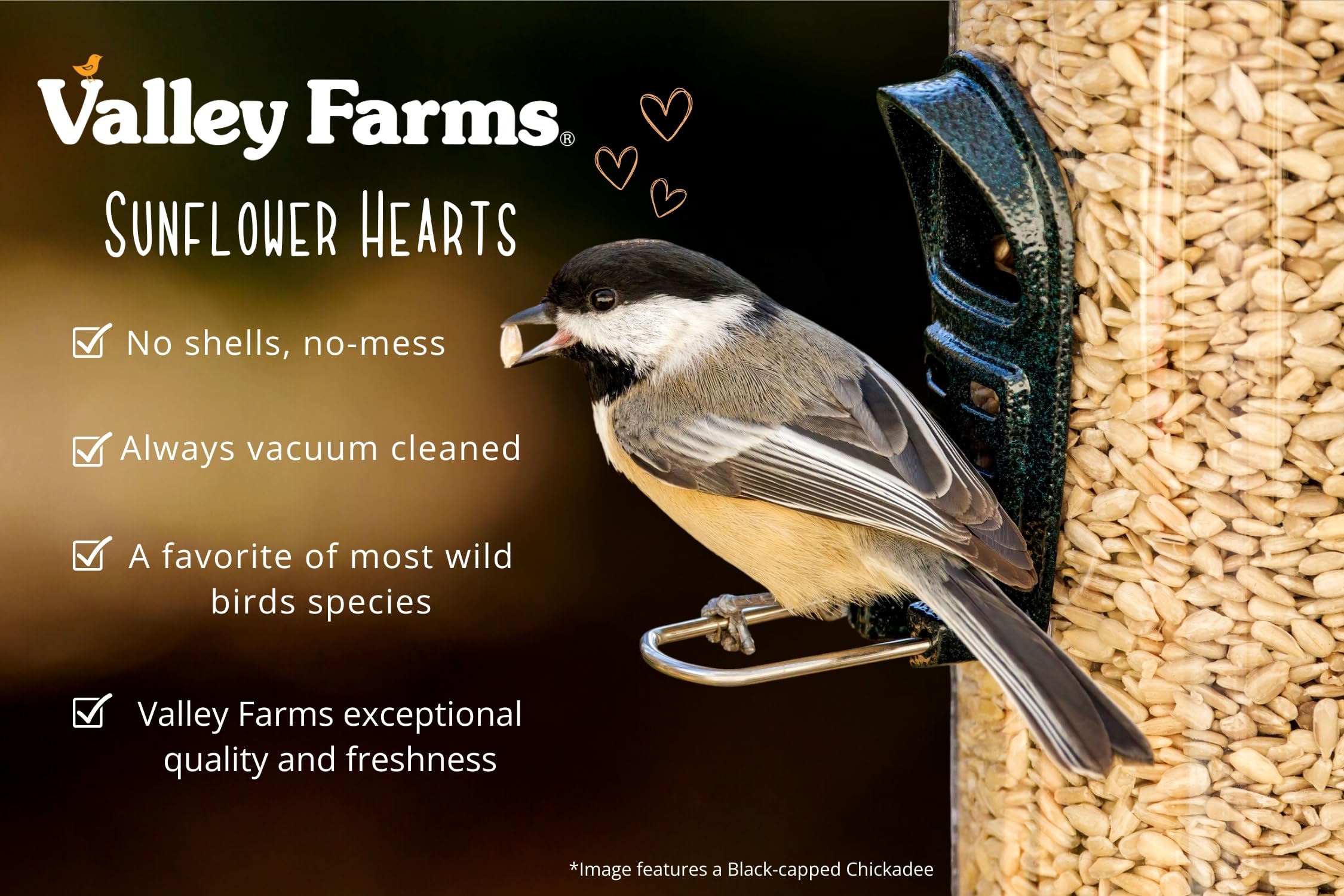 Valley Farms Whole Sunflower Hearts for Wild Birds - 15 LB Bag | No Mess, Waste-Free Wild Bird Seed | Perfect for Outdoor Bird Feeders, Backyard Birdwatching & Wildlife Attraction