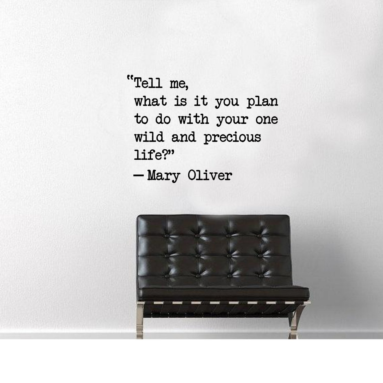 Inspirational Vinyl Wall Decal - 'One Wild & Precious Life' Quote (21.5x30) for Home Office Decor