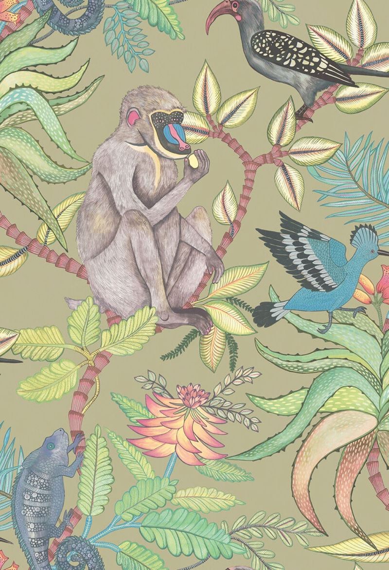 Cole and Son Savuti Wallpaper - Khaki Multi Design for Living Room, Bedroom & Home Decor | Premium Quality & Stylish Pattern